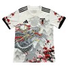 Officiële Voetbalshirt Japan Dragon 2024-25 - Heren